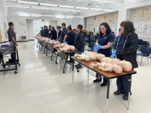 BLS Certification Course - BLS Training