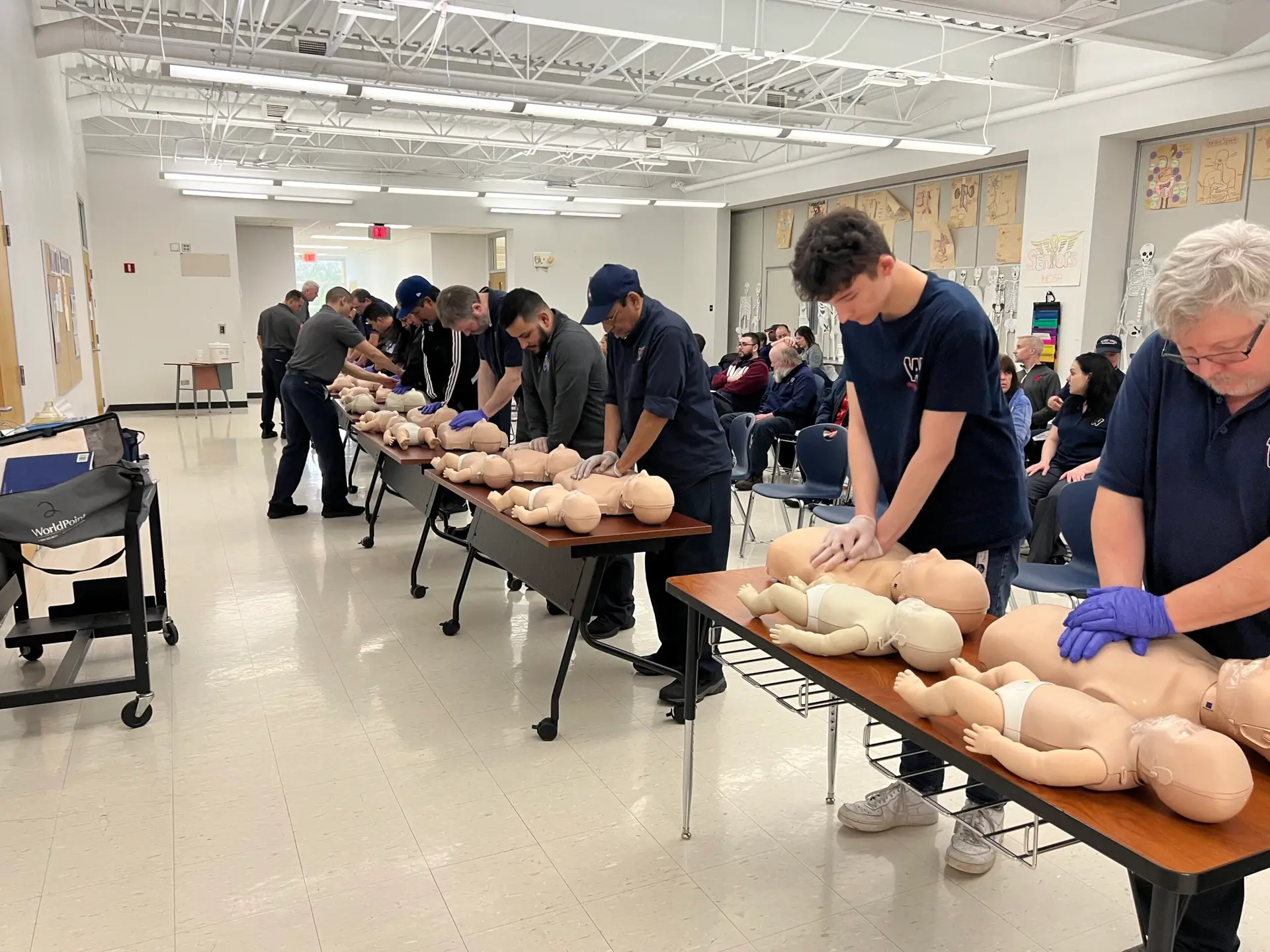 BLS Training