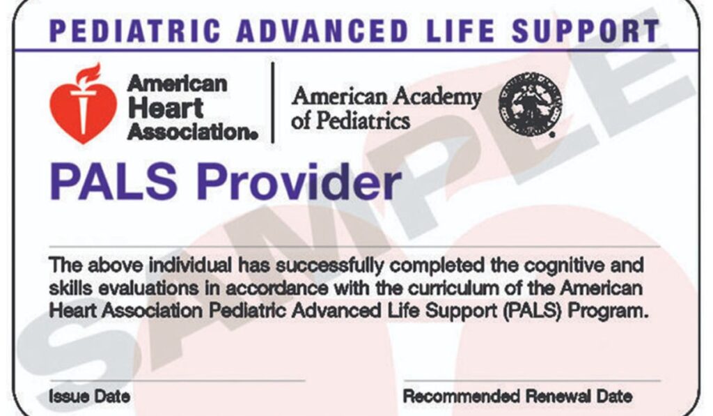 PALS Certification Saves The Day: Treating Pediatric Chest Pain
