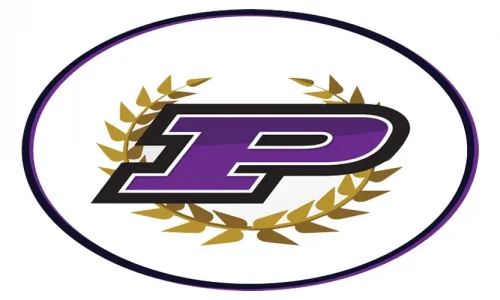 P - Logo